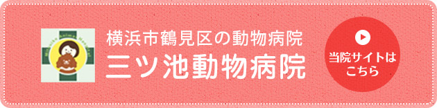 横浜市鶴見区の動物病院　三ツ池動物病院