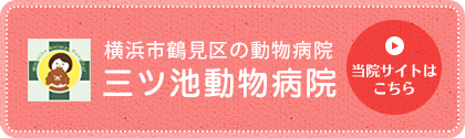 横浜市鶴見区の動物病院 三ツ池動物病院  当院サイトはこちら 