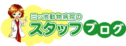 三ッ池動物病院のスタッフブログ