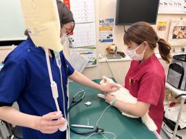 求人募集（横浜市　獣医師・動物看護師・トリマー）