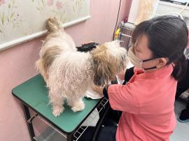 求人募集（横浜市　獣医師・動物看護師・トリマー）