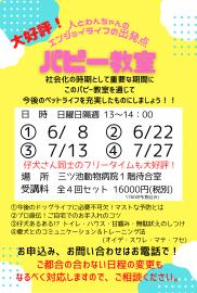パピー教室受講内容