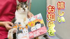漫画医療監修協力