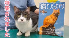 猫びより　2024年春号特集ページ監修