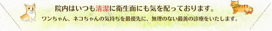 院内はいつも清潔に衛生面にも気を配っております。 ワンちゃん、ネコちゃんの気持ちを最優先に、無理のない最善の診療をいたします。