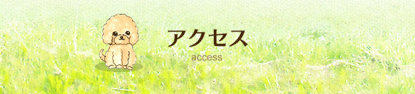 アクセス