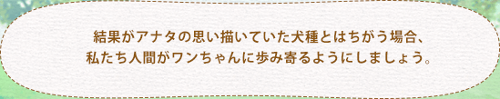 結果がアナタの思い描いていた犬種とはちがう場合、私たち人間がワンちゃんに歩み寄るようにしましょう。