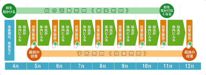 フィラリア症の予防法