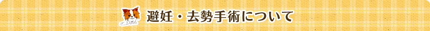 避妊・去勢手術について