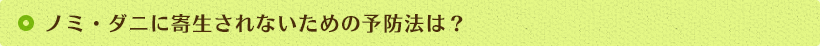 ノミ・ダニに寄生されないための予防法は？
