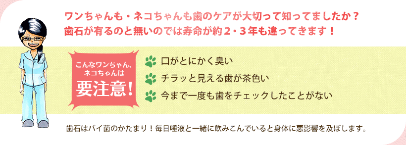 ワンちゃんも・ネコちゃんも歯のケアが大切って知ってましたか？歯石が有るのと無いのでは寿命が約２・３年も違ってきます！ こんなワンちゃん、ネコちゃんは要注意！ 口がとにかく臭い チラッと見える歯が茶色い 今まで一度も歯をチェックしたことがない 歯石はバイ菌のかたまり！毎日唾液と一緒に飲みこんでいると身体に悪影響を及ぼします。