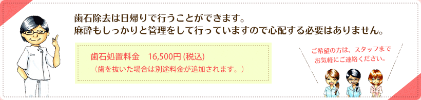 歯石除去は日帰りで行うことができます。麻酔もしっかりと管理をして行っていますので心配する必要はありません。歯石処置料金　15,000円 (税抜)（歯を抜いた場合は別途料金が追加されます。） ご希望の方は、スタッフまでお気軽にご連絡ください。