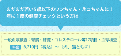  まだまだ若い5 歳以下のワンちゃん・ネコちゃんに！
年に１度の健康チェックという方は  一般血液検査：腎臓・肝臓・コレステロール等17項目・血球検査 料金　6,100円(税抜）～（犬、猫ともに）