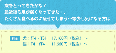  歳をとってきたかな？最近後ろ足が弱くなってきた…、たくさん食べるのに痩せてしまう…等少し気になる方は 料金　犬：fT4・TSH　15,600円(税抜）～ 猫：T4・fT4　  10,600円(税抜）～