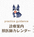 診療案内 獣医師カレンダー