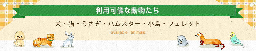 利用可能な動物たち 犬・猫・うさぎ・ハムスター・小鳥・フェレット