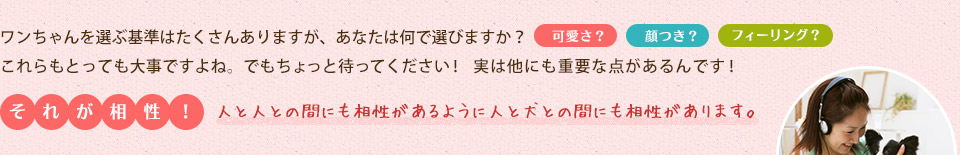 ワンちゃんを選ぶ基準は？人と犬との間にも相性があります。