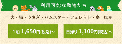 犬・猫・うさぎほか  