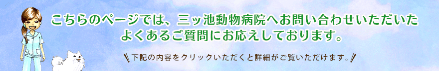 こちらのページでは、三ツ池動物病院で検査、治療、手術の実例写真を用いながら説明いたします。 下記の内容をクリックいただくと詳細がご覧いただけます。