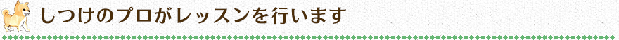 しつけのプロがレッスンを行います