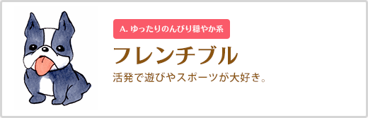 フレンチブル  活発で遊びやスポーツが大好き。A. ゆったりのんびり穏やか系