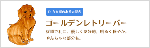 ゴールデンレトリーバー  従順で利口、優しく友好的。明るく穏やか。 やんちゃな部分も。D. 存在感のある大型犬