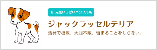 ジャックラッセルテリア  活発で機敏、大胆不敵、留まることをしらない。 B. 元気いっぱいパワフル系