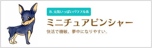 ミニチュアピンシャー  快活で機敏、夢中になりやすい。 B. 元気いっぱいパワフル系