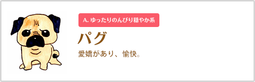 パグ  愛嬌があり、愉快。A. ゆったりのんびり穏やか系