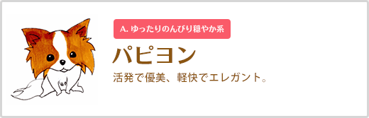 パピヨン  活発で優美、軽快でエレガント。A. ゆったりのんびり穏やか系