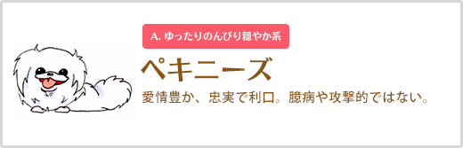 ペキニーズ  愛情豊か、忠実で利口。臆病や攻撃的ではない。 A. ゆったりのんびり穏やか系