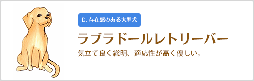 ラブラドールレトリーバー  気立て良く総明、適応性が高く優しい。 D. 存在感のある大型犬