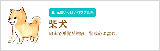 柴犬  忠実で感覚が鋭敏、警戒心に富む。 B. 元気いっぱいパワフル系