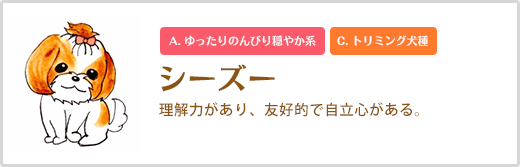 シーズー   理解力があり、友好的で自立心がある。 A. ゆったりのんびり穏やか系 C. トリミング犬種