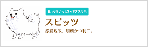 スピッツ  感覚鋭敏、明朗かつ利口。 B. 元気いっぱいパワフル系