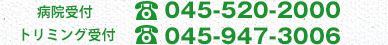 ご予約・お問い合わせ  045-520-2000