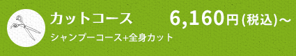 カットコース 　4,800円(税抜)～ シャンプーコース+全身カット