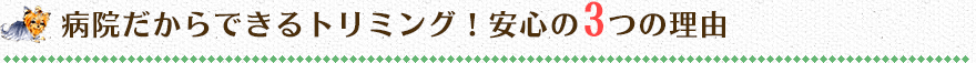 病院だからできるトリミング！安心の3つの理由