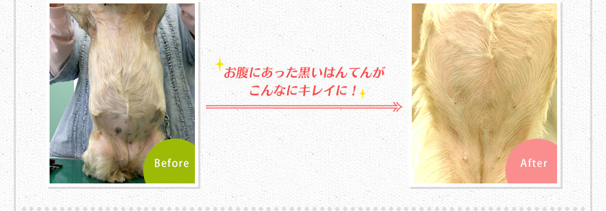 お腹にあった黒いはんてんがこんなにキレイに！