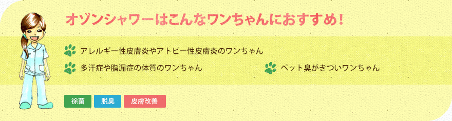 オゾンシャワーはこんなワンちゃんにおすすめ！ アレルギー性皮膚炎やアトピー性皮膚炎のワンちゃん多汗症や脂漏症の体質のワンちゃん ペット臭がきついワンちゃん 徐菌 脱臭 皮膚改善