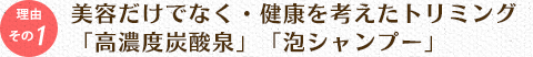 美容面だけでなく、健康面まで考えたトリミング