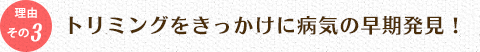 トリミングをきっかけに病気の早期発見！ 