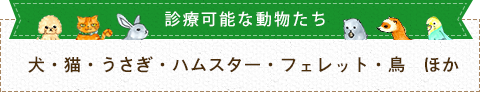 診察可能な動物