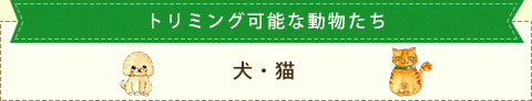 診察可能な動物