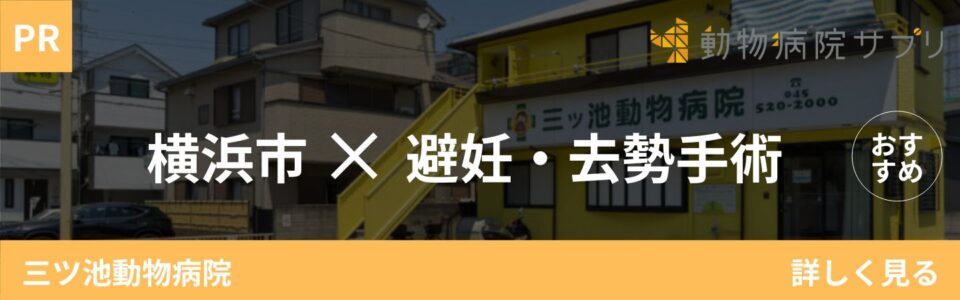 動物病院サプリ 横浜市の避妊・去勢手術 三ツ池動物病院